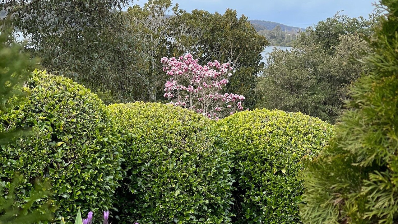 Photo of Outdoor in Batemans Bay
