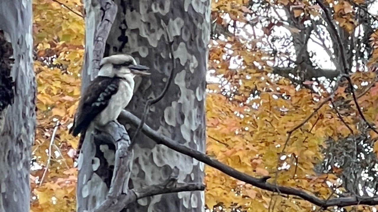 Photo of Outdoor in Batemans Bay