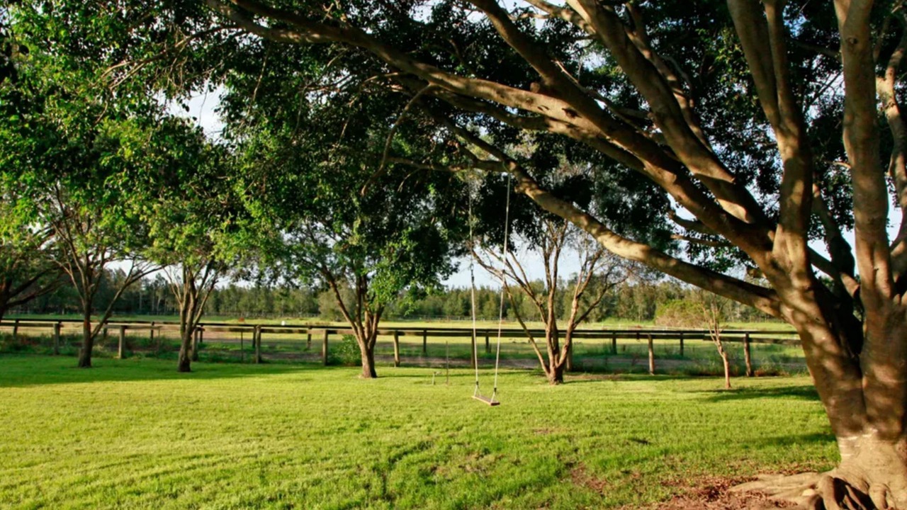Photo of Outdoor in Anna Bay