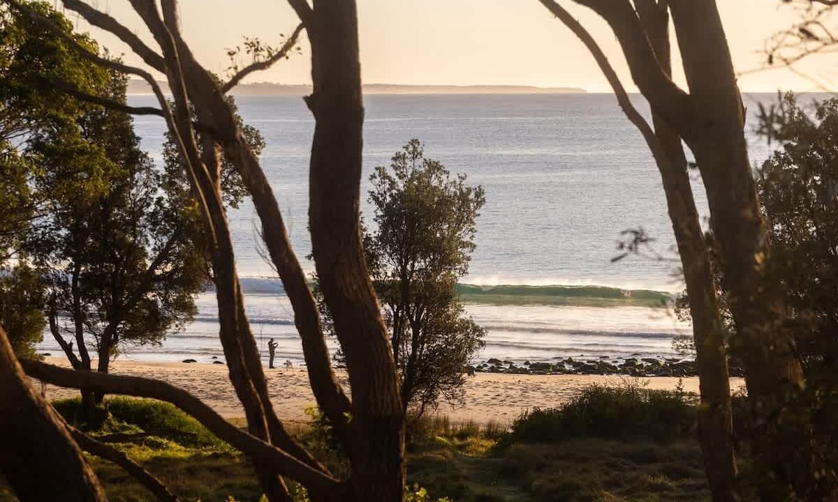 Photo of Others in Bawley Point