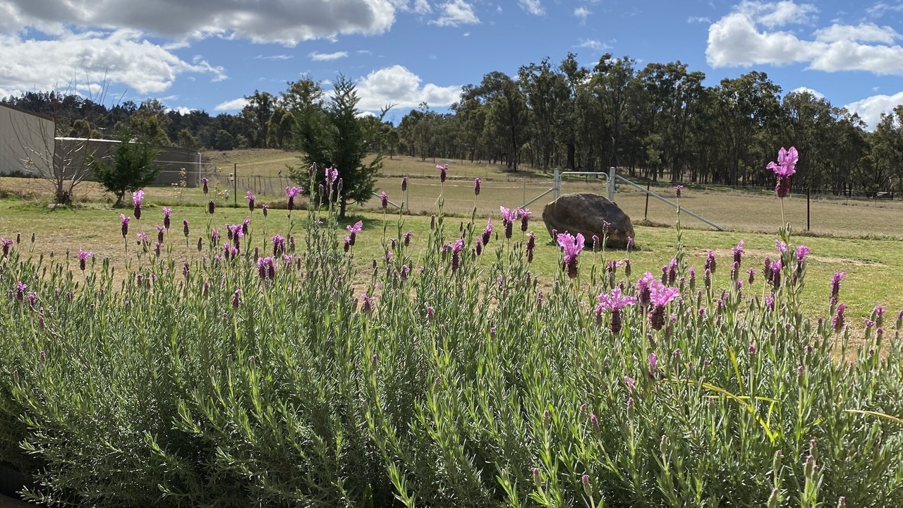 Photo of Outdoor in Budgee Budgee