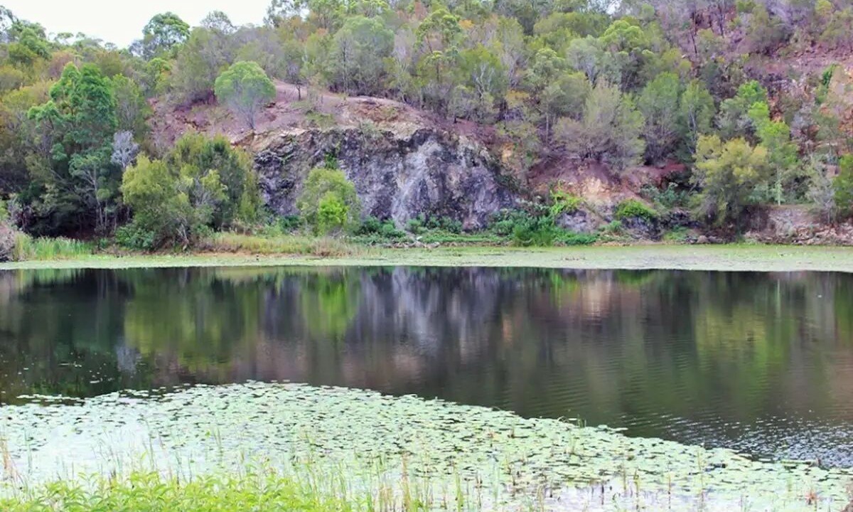 Photo of Others in Shailer Park