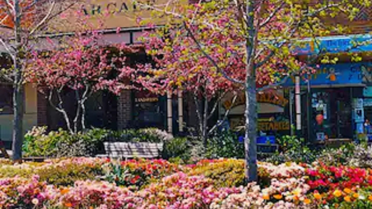 Photo of Outdoor in Wentworth Falls