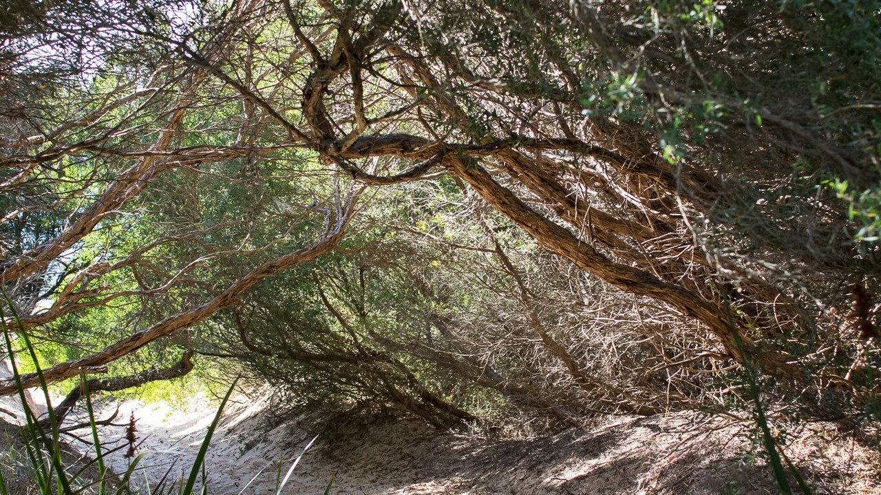 Photo of Outdoor in Cape Woolamai