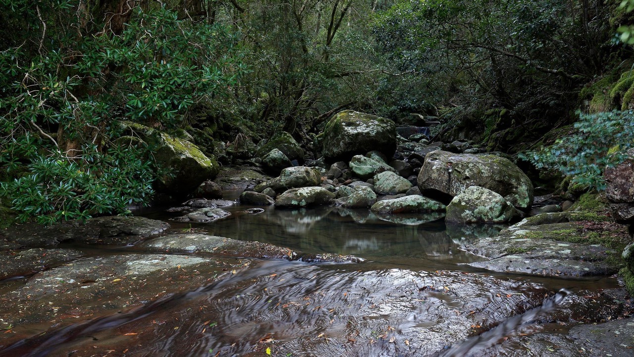 Photo of Others in Upper Kangaroo River