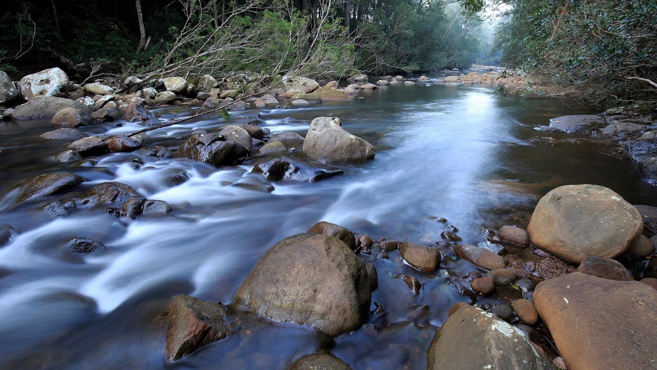 Photo of Others in Upper Kangaroo River