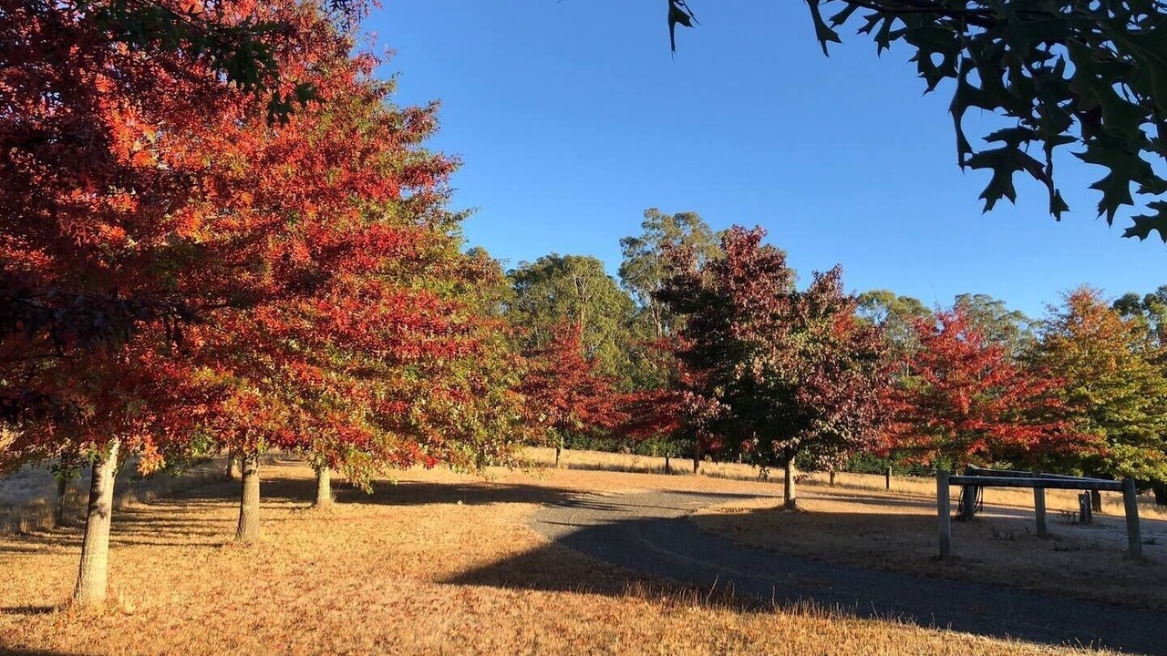 Photo of Outdoor in Bullengarook