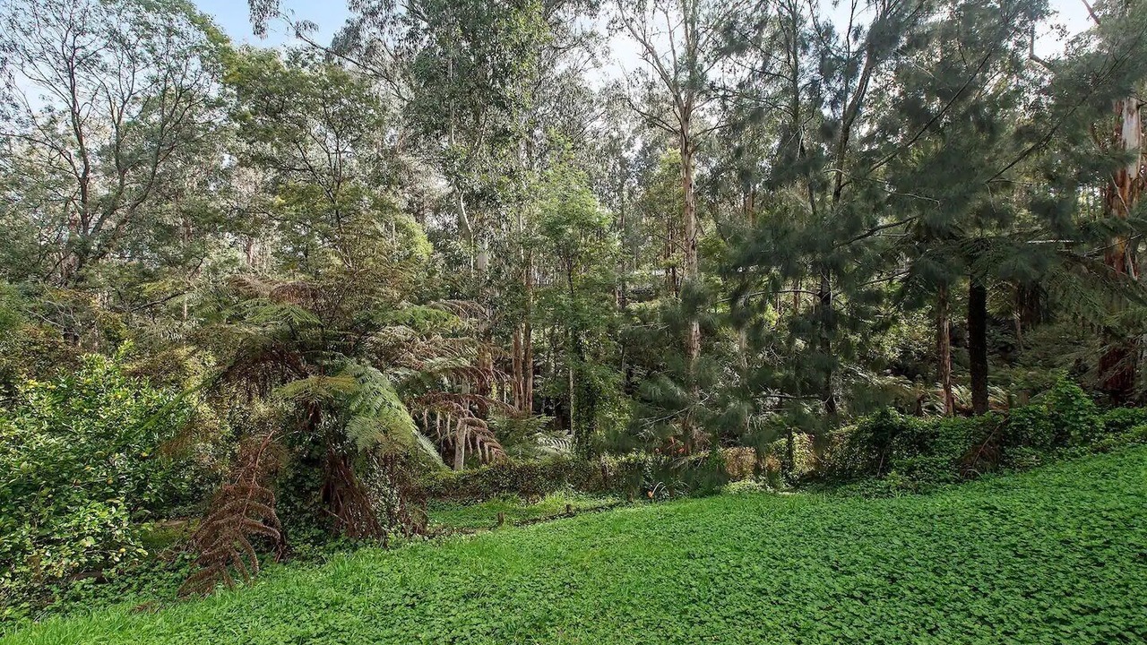 Photo of Outdoor in Cockatoo
