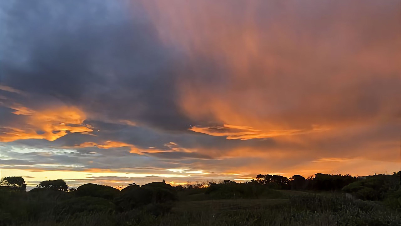 Photo of Outdoor in Tomakin