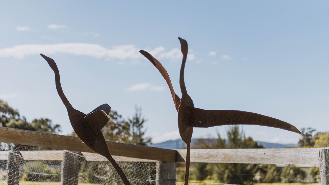 Photo of Outdoor in Central Mudgee