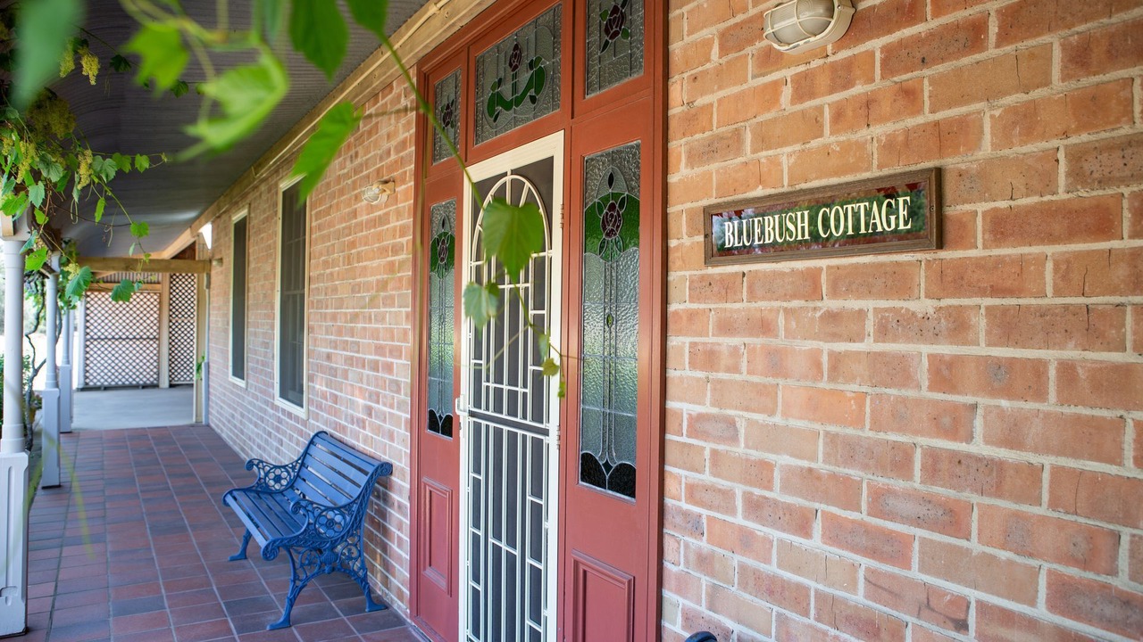 Photo of Outdoor in Lovedale