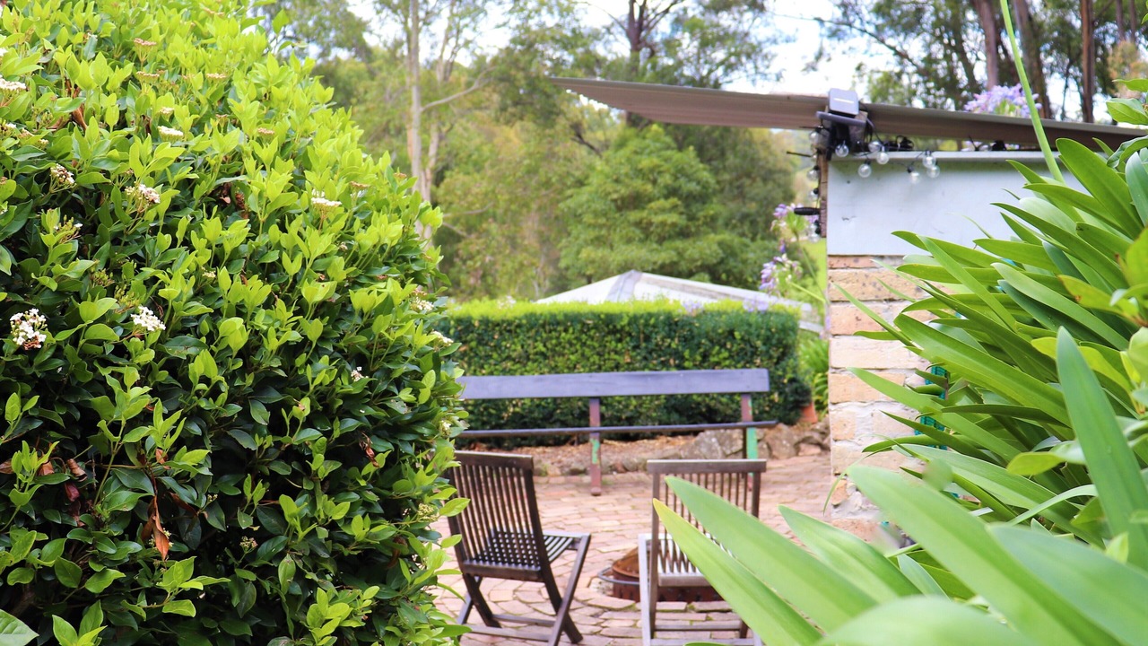Photo of Outdoor in Megalong Valley