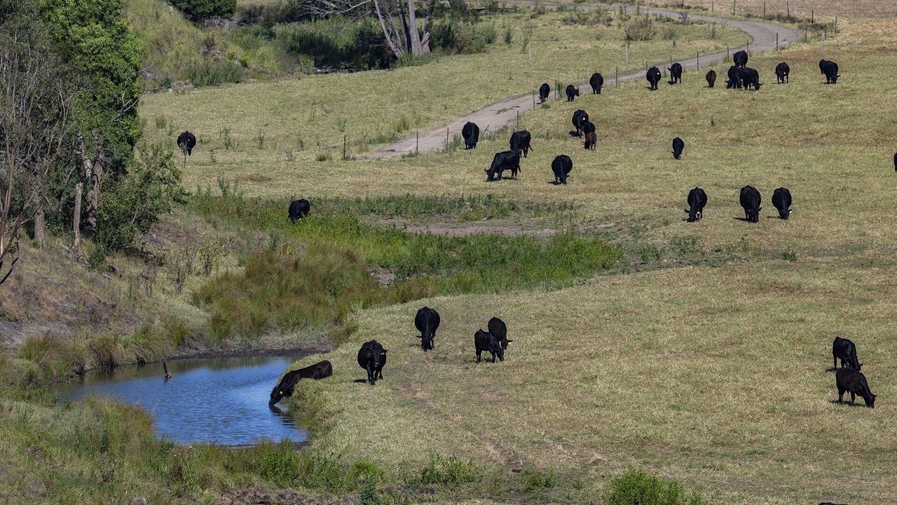 Photo of Others in Faulkland