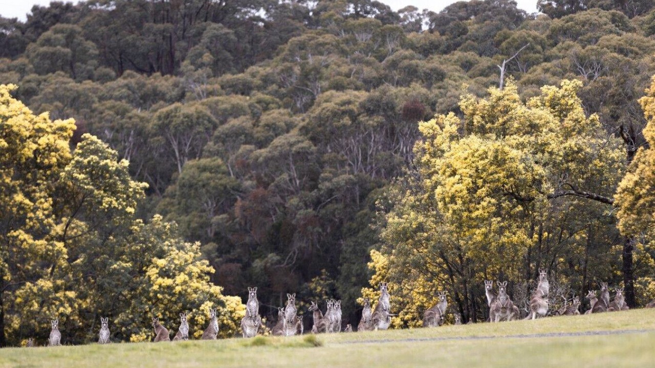 Photo of Outdoor in Woodend