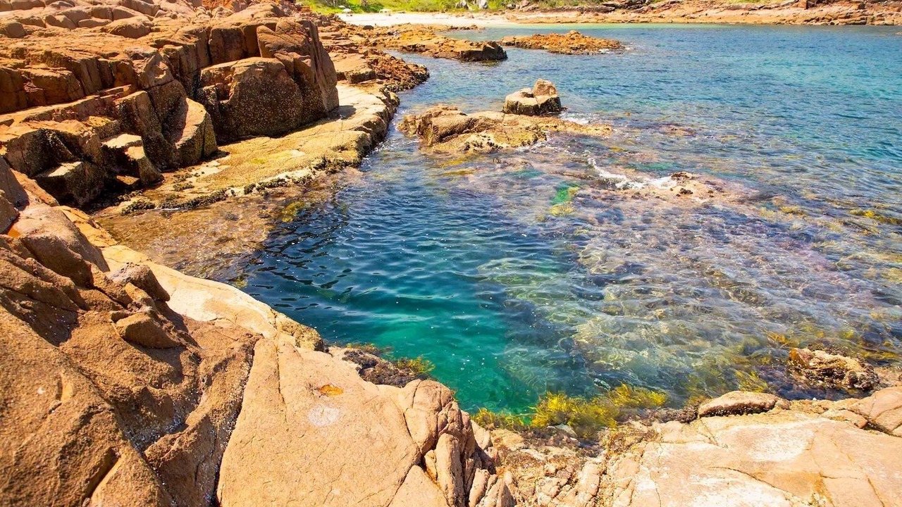 Photo of Others in North Coast