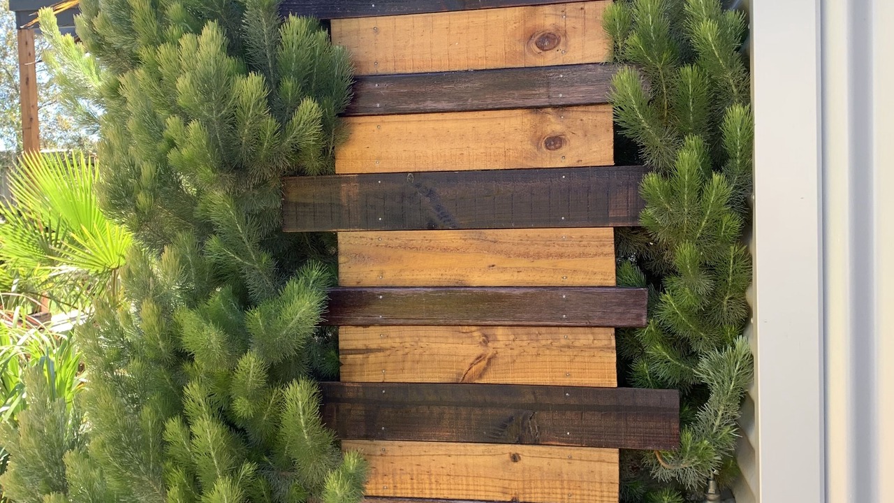 Photo of Outdoor in Tootgarook
