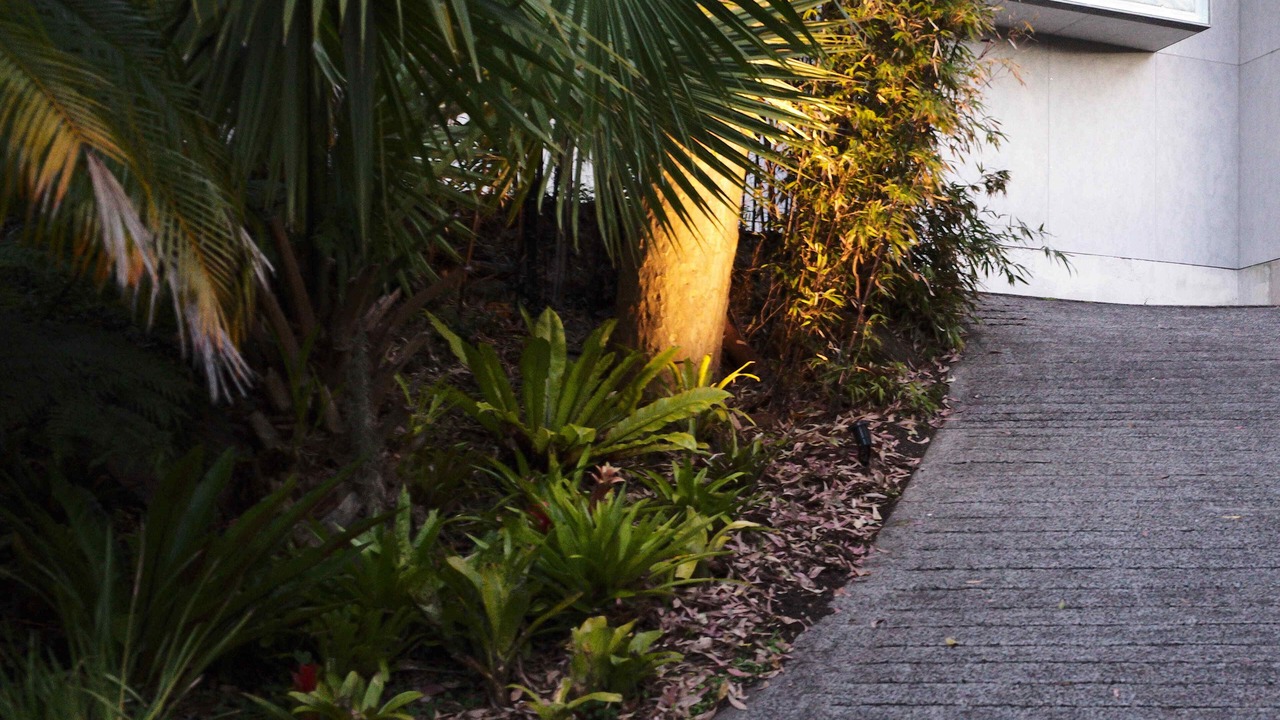 Photo of Outdoor in Pearl Beach