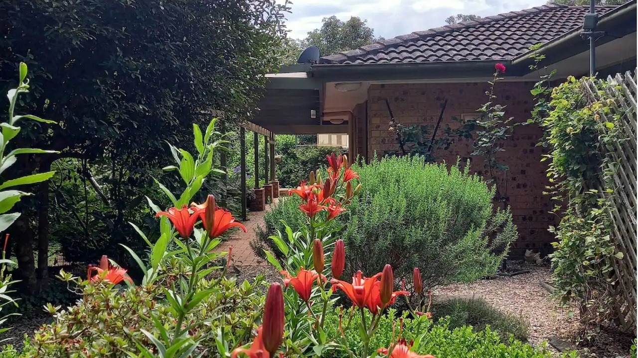 Photo of Outdoor in Fitzroy Falls