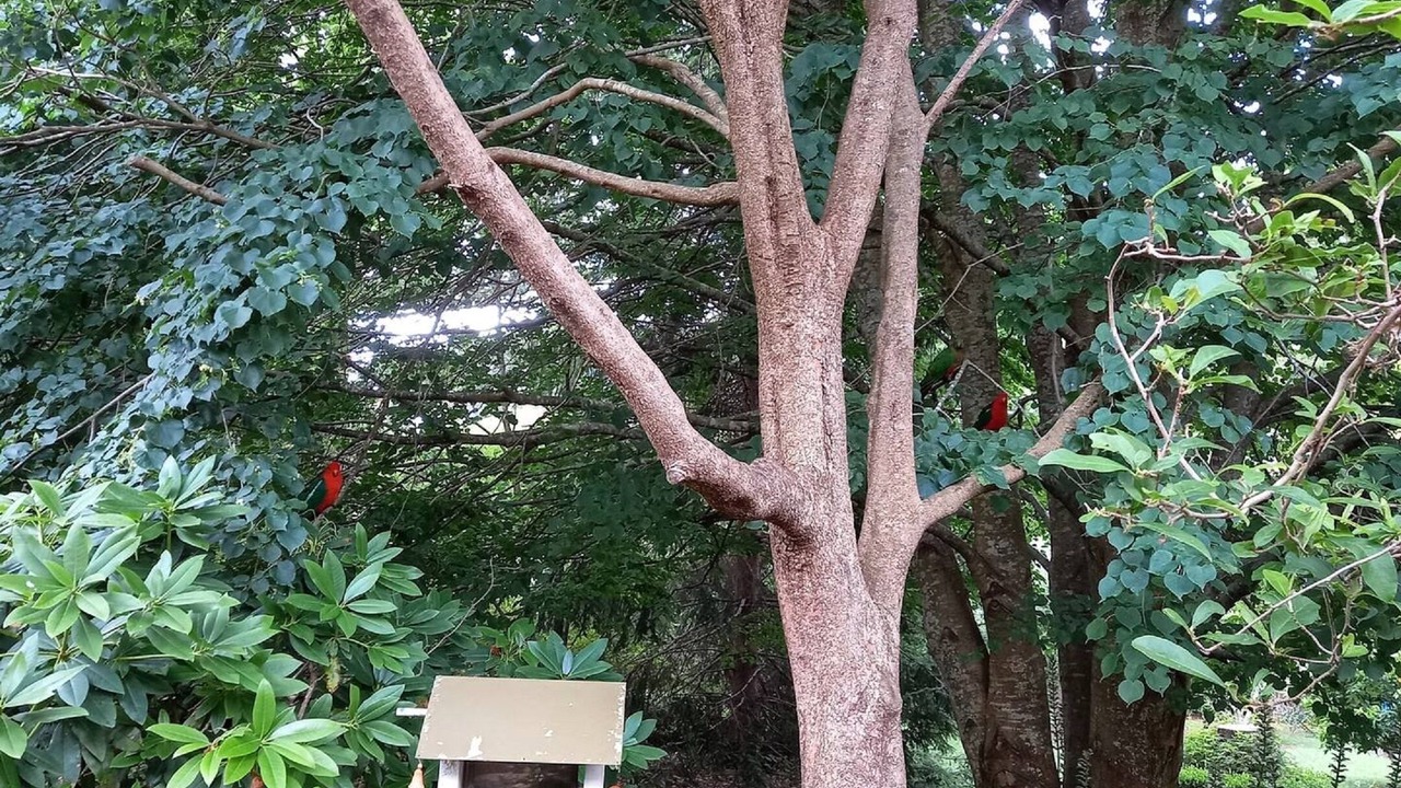 Photo of Outdoor in Fitzroy Falls