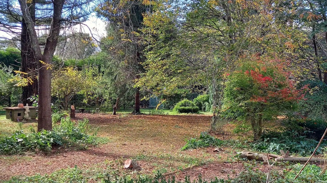 Photo of Outdoor in Fitzroy Falls
