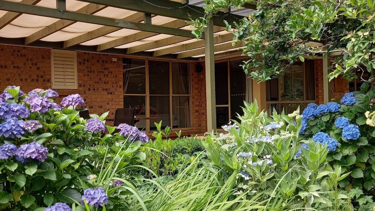 Photo of Outdoor in Fitzroy Falls