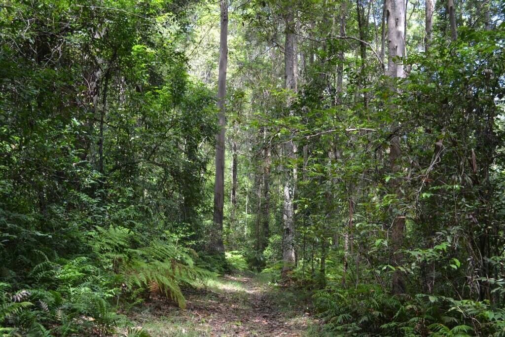 Photo of Others in Palmwoods
