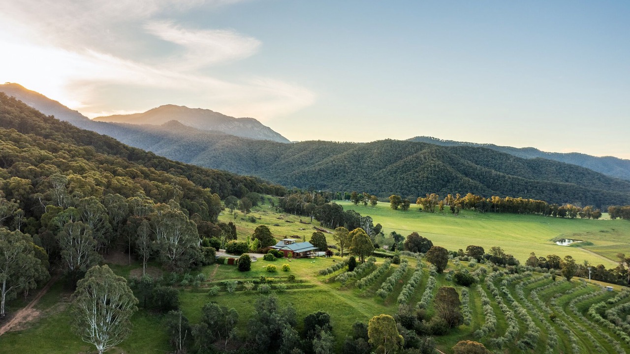 Photo of Outdoor in Porepunkah
