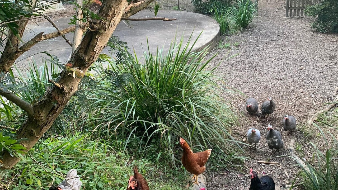 Photo of Others in Raleigh