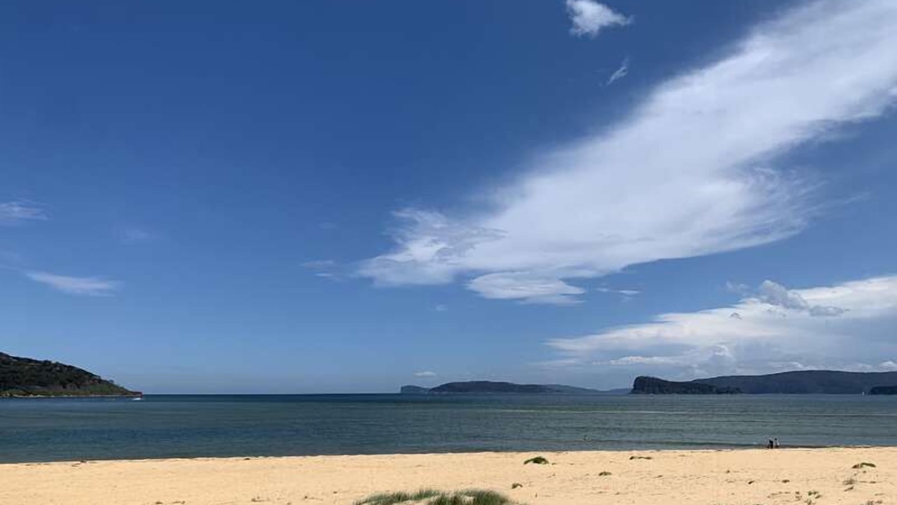 Photo of Others in Booker Bay