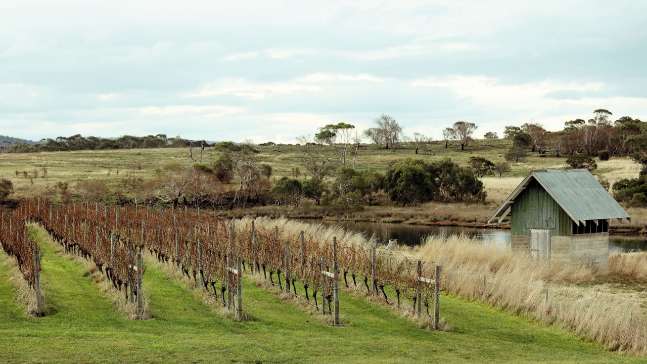 Photo of Outdoor in Little Swanport