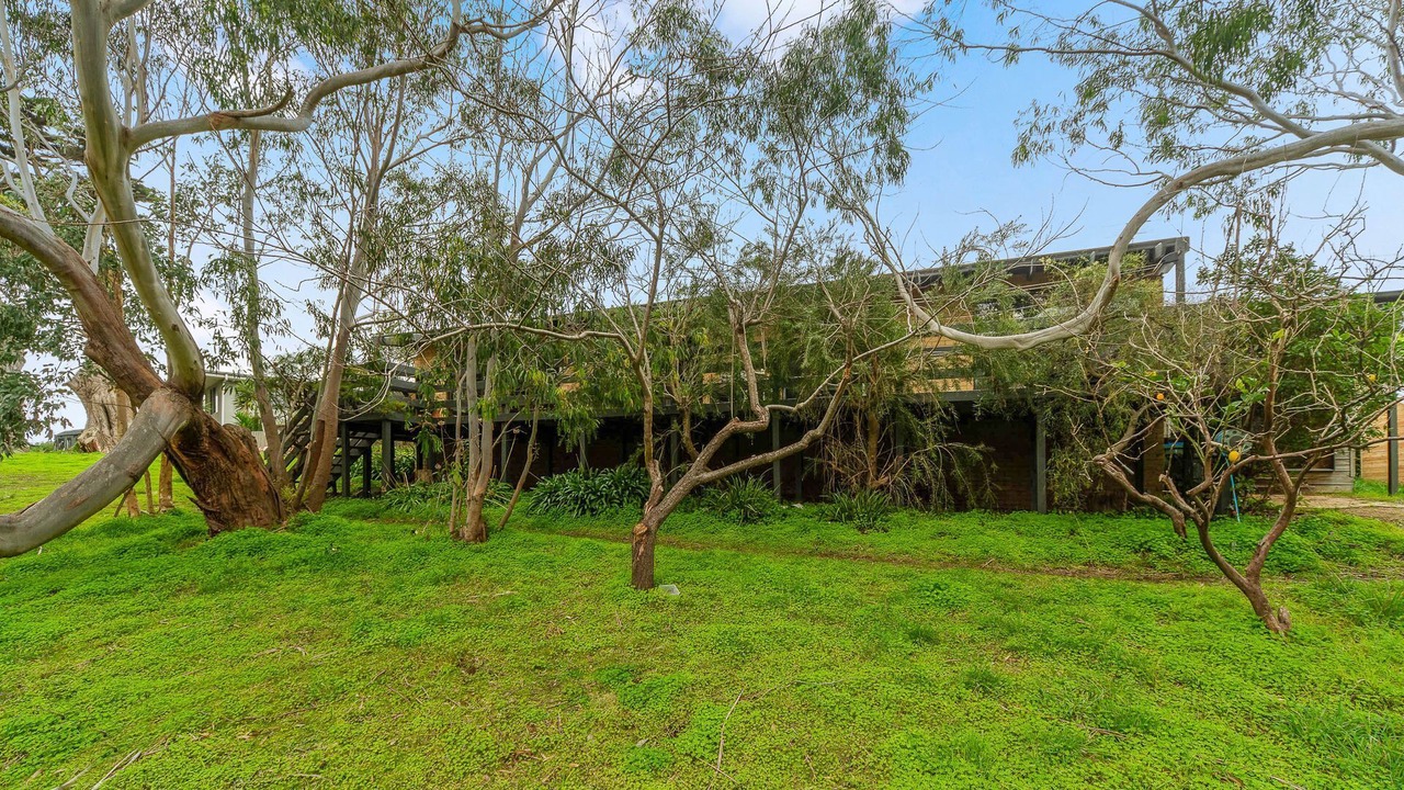 Photo of Outdoor in Flinders