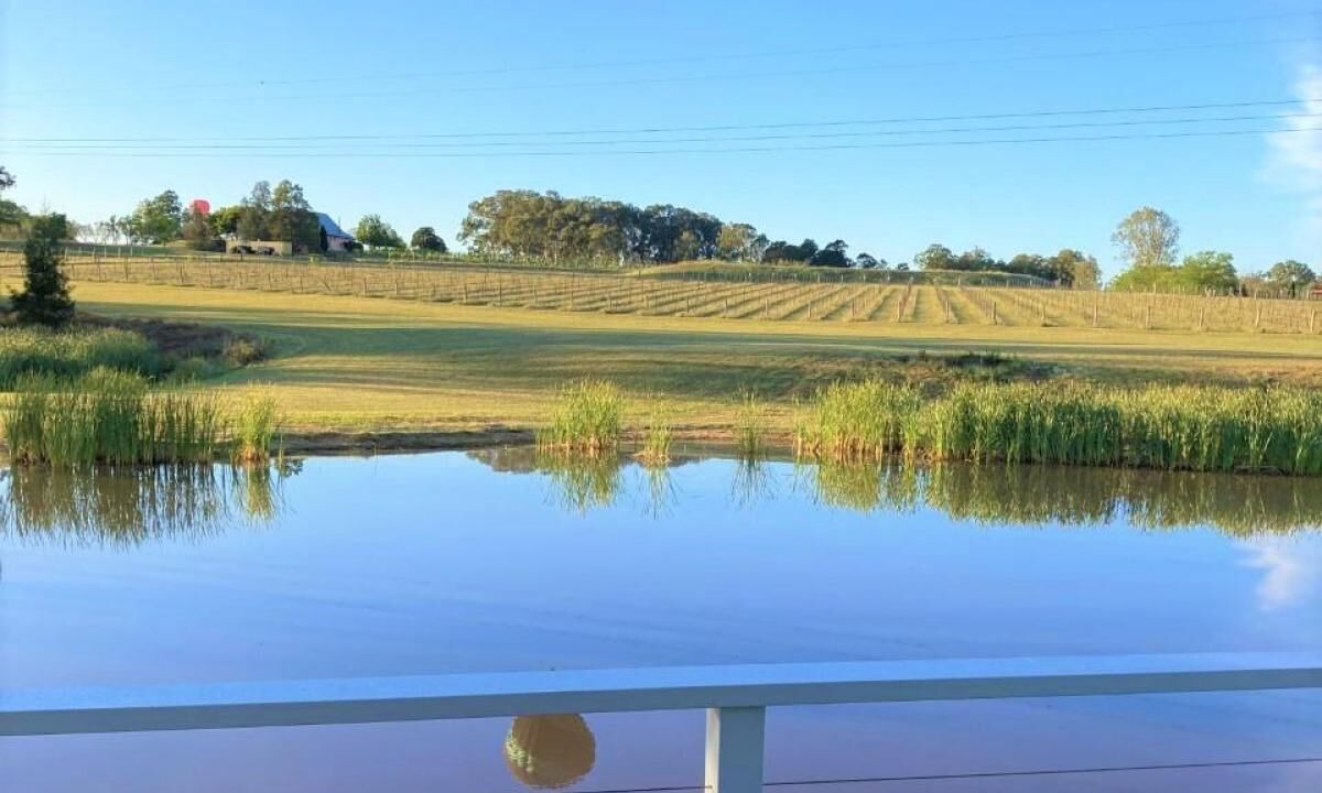 Photo of Outdoor in Lovedale
