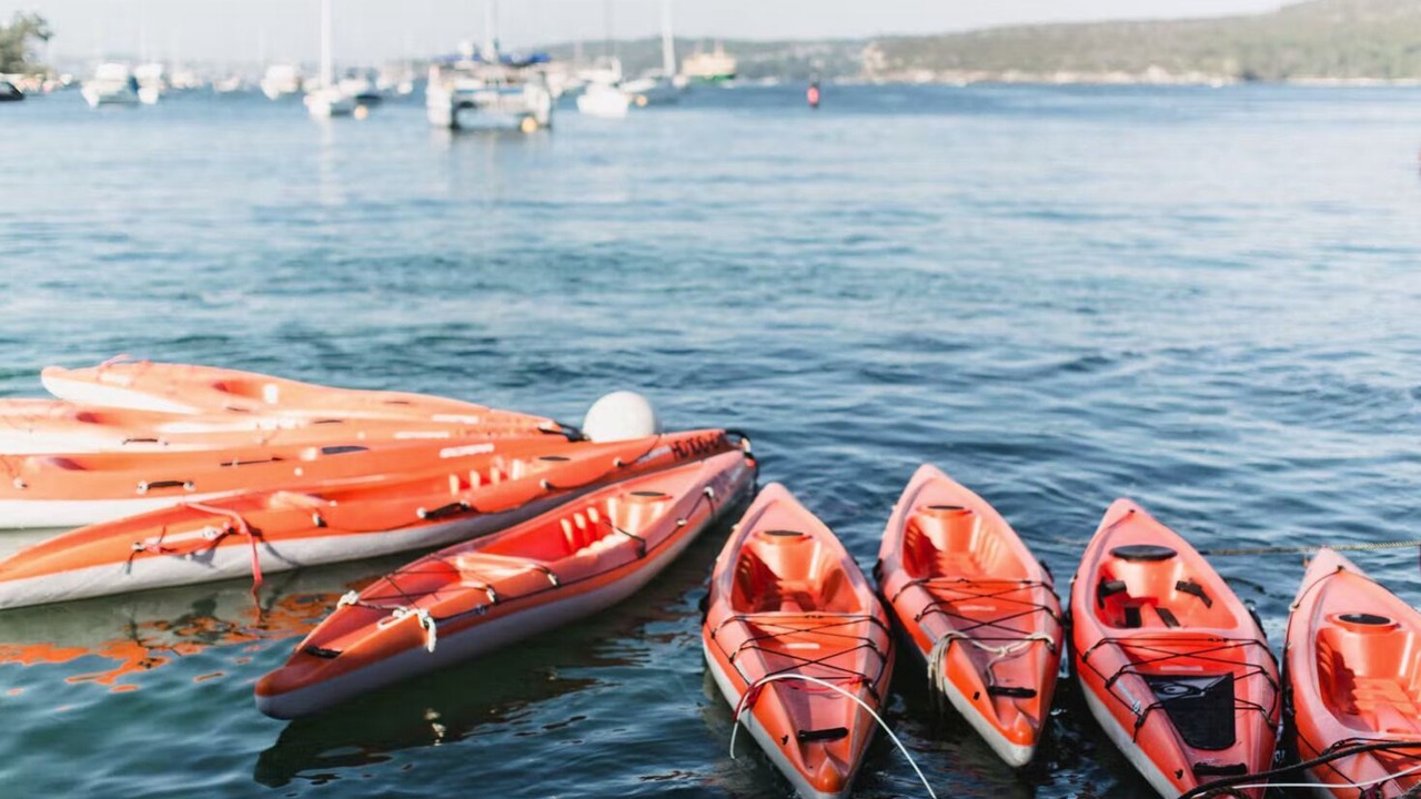 Photo of Others in Manly