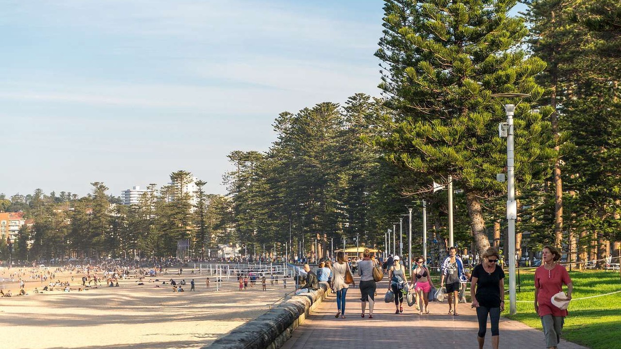 Photo of Others in Manly