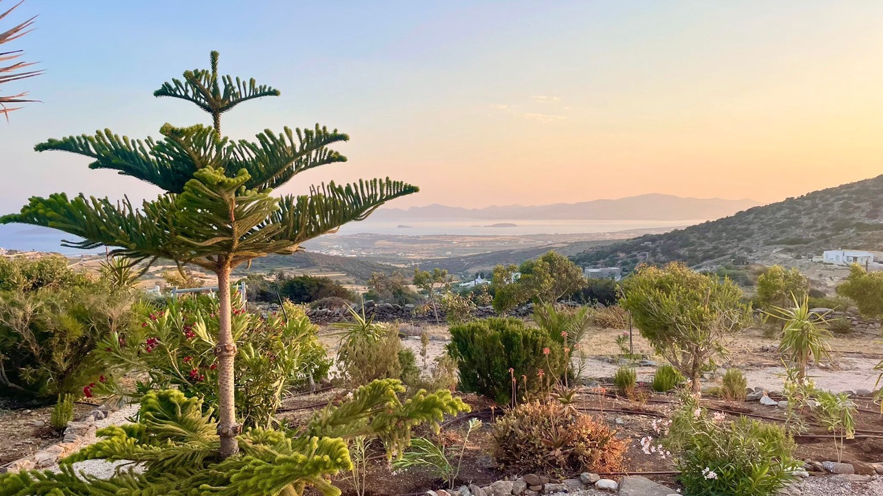 Photo of Outdoor in Paros