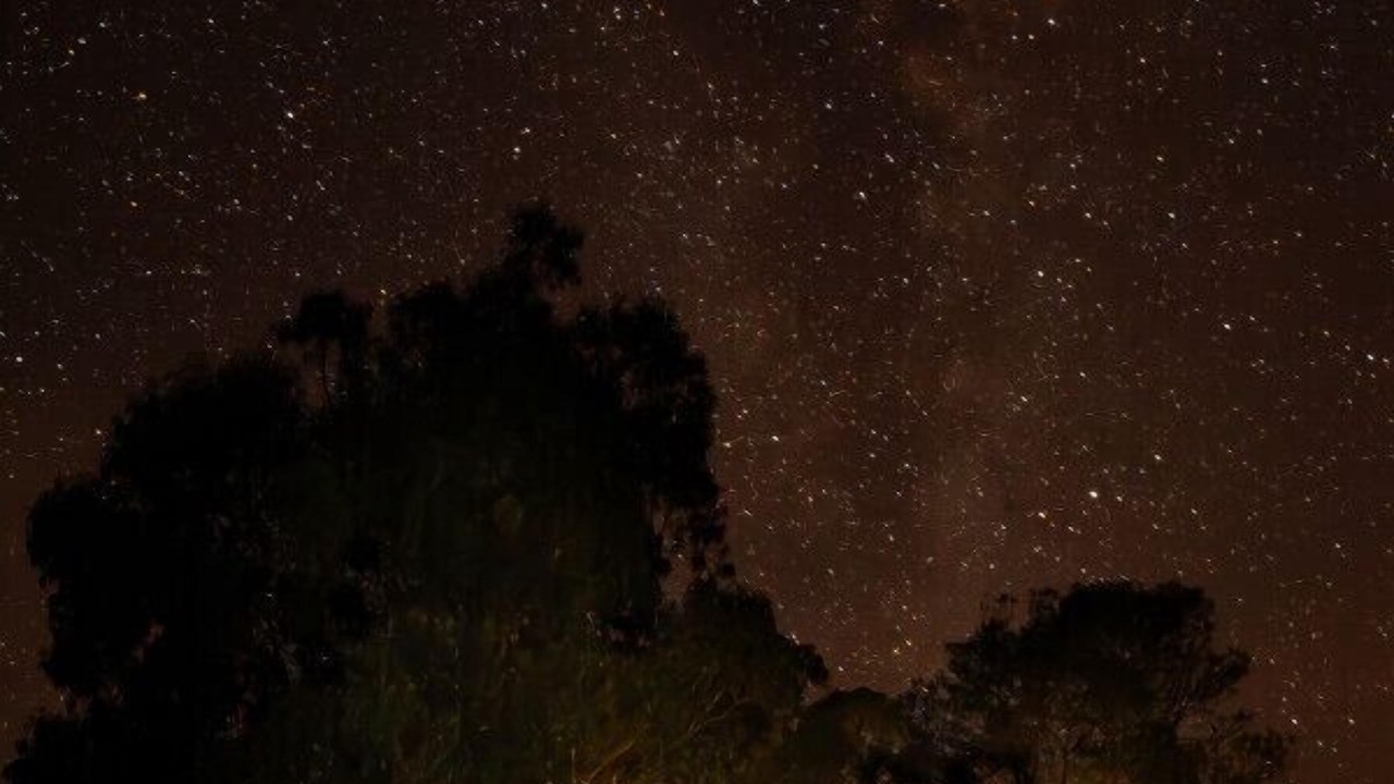 Photo of Others in Strath Creek