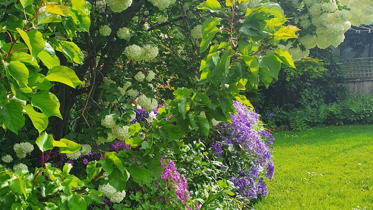 Photo of Outdoor in New Town