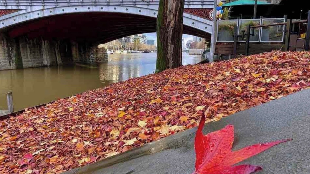 Photo of Outdoor in St. Albans