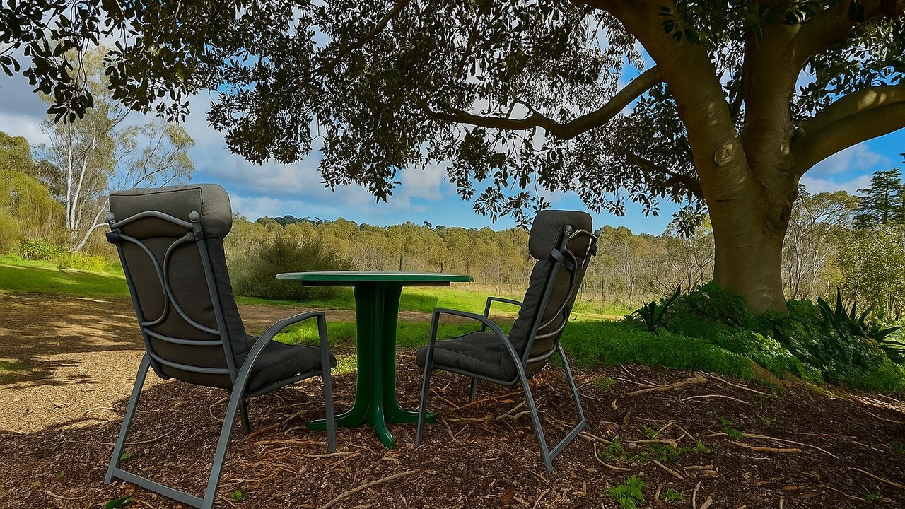 Photo of Outdoor in Williamstown