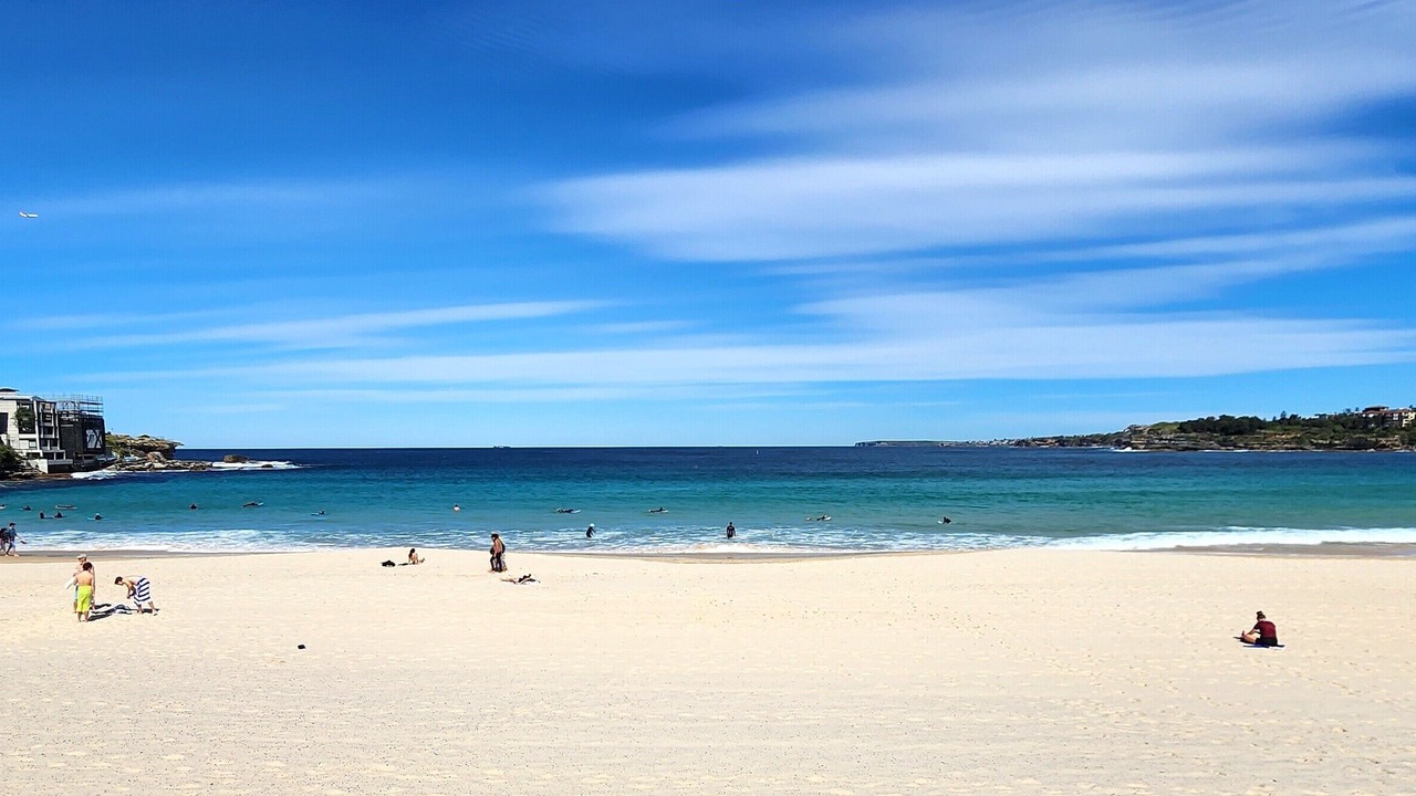 Photo of Others in Rose Bay