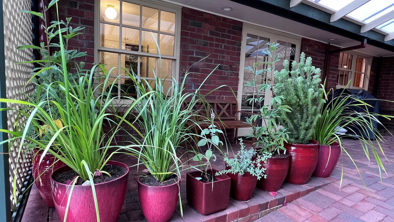 Photo of Outdoor in Belair