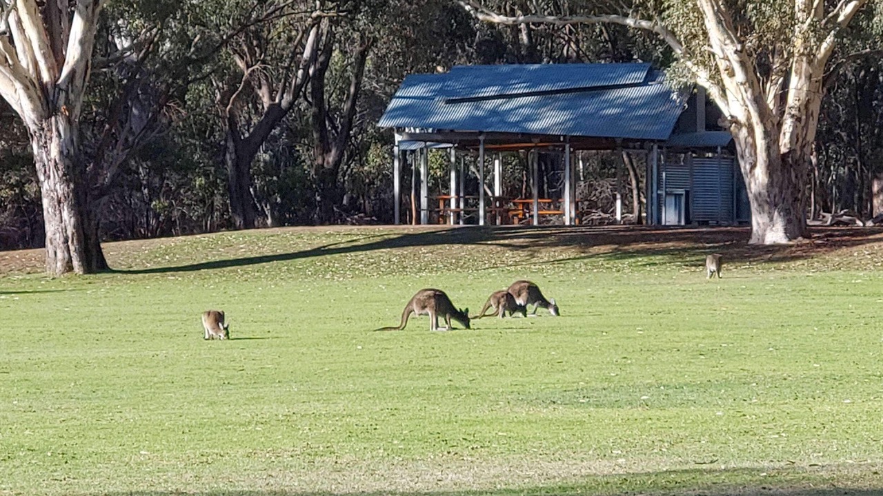 Photo of Others in Belair