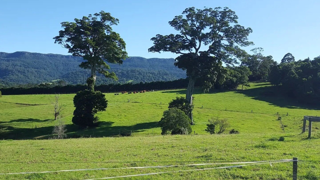 Photo of Others in Foxground