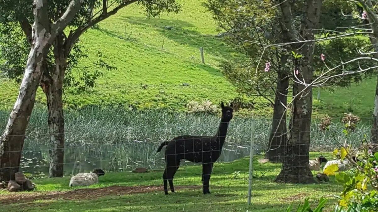 Photo of Outdoor in Foxground