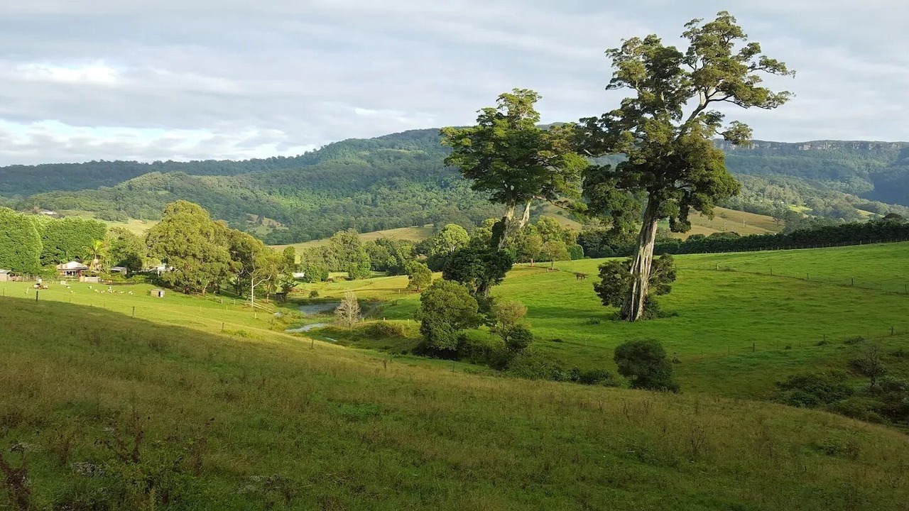 Photo of Outdoor in Foxground