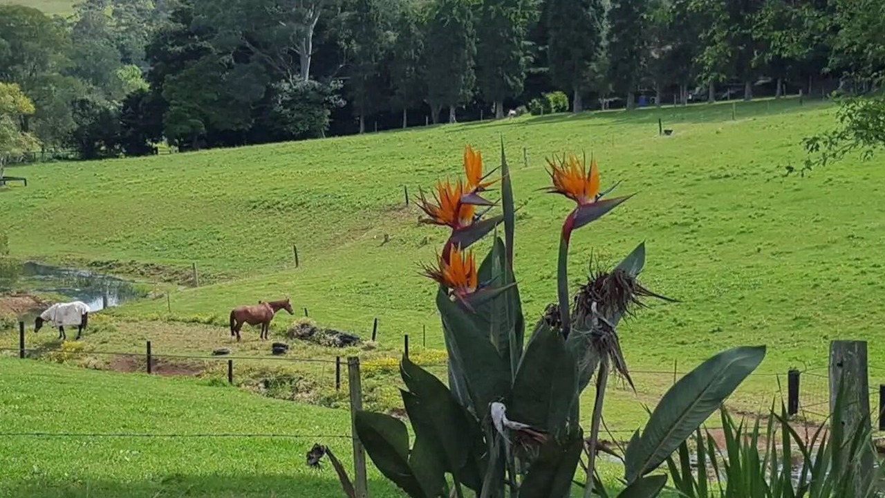 Photo of Outdoor in Foxground