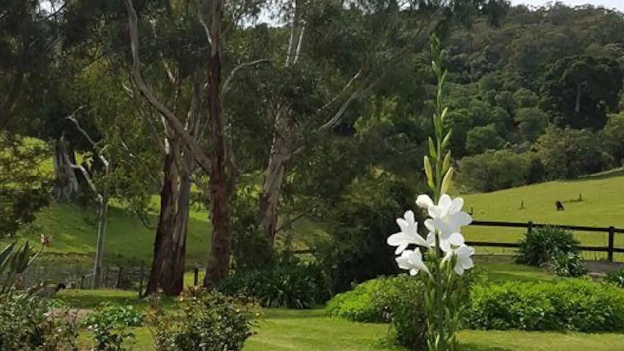 Photo of Outdoor in Foxground