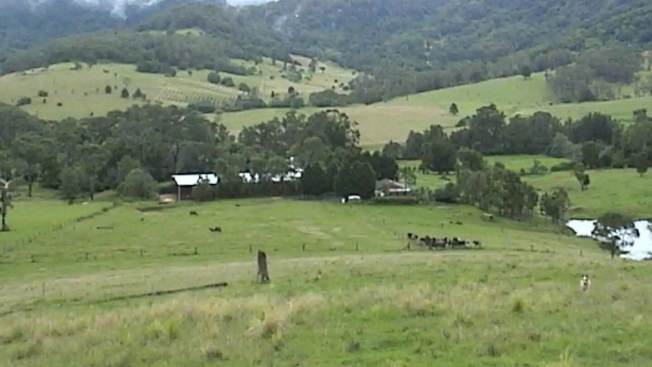 Photo of Others in Foxground