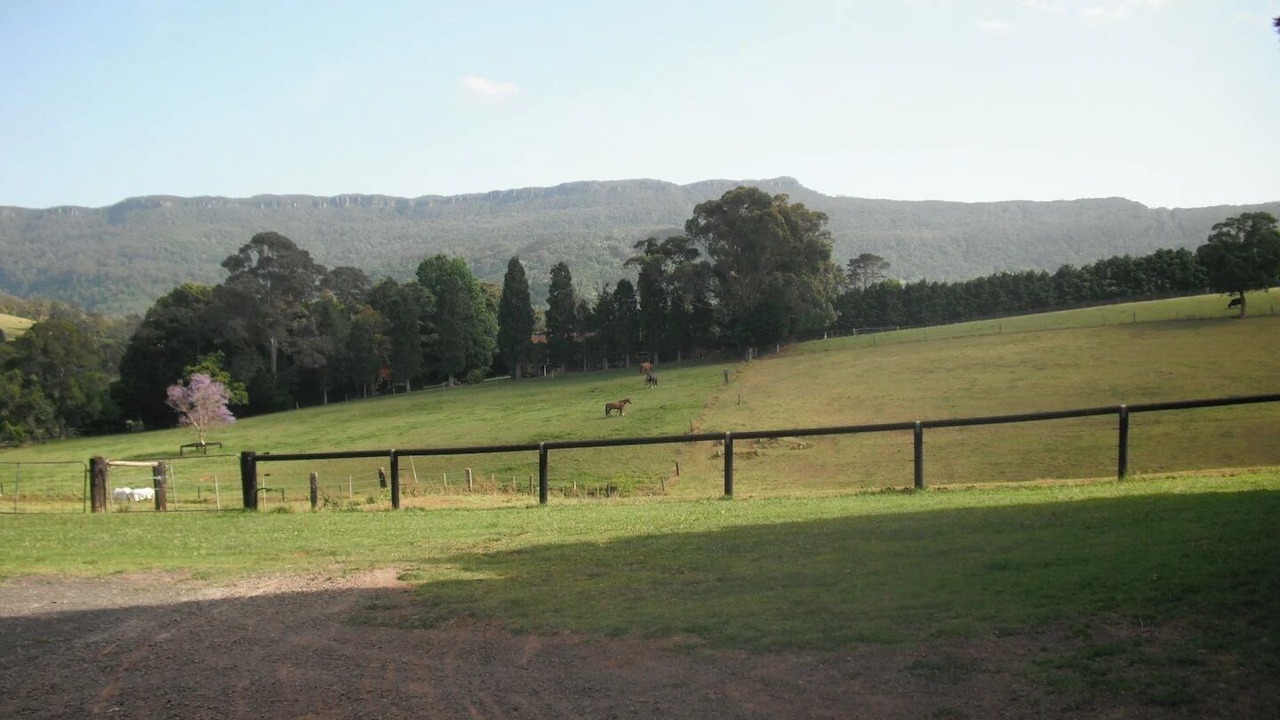 Photo of Others in Foxground