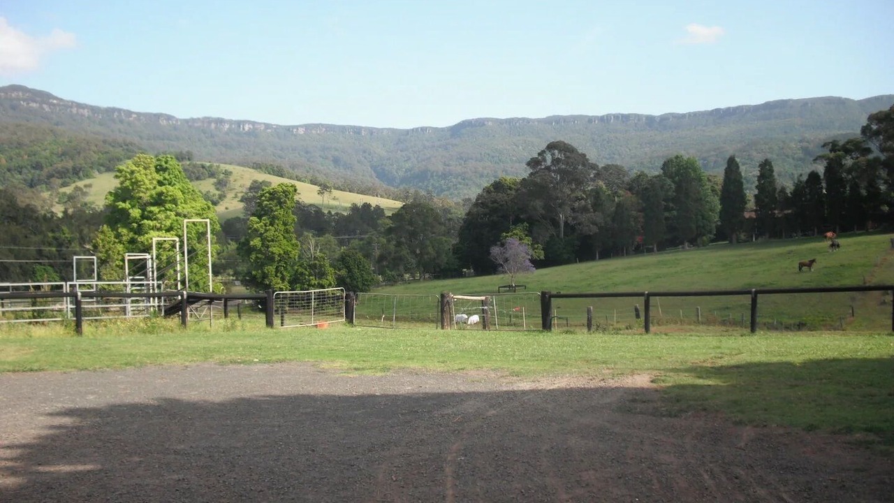 Photo of Others in Foxground